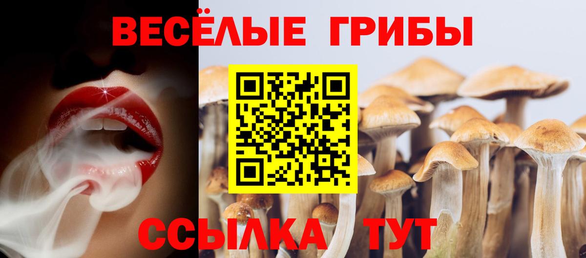 Псилоцибиновые грибы GOLDEN TEACHER  Вход с VPN  Сургут 