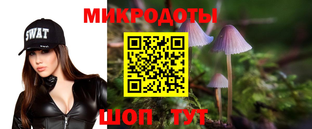 Псилоцибиновые грибы Psilocybine cubensis Сургут